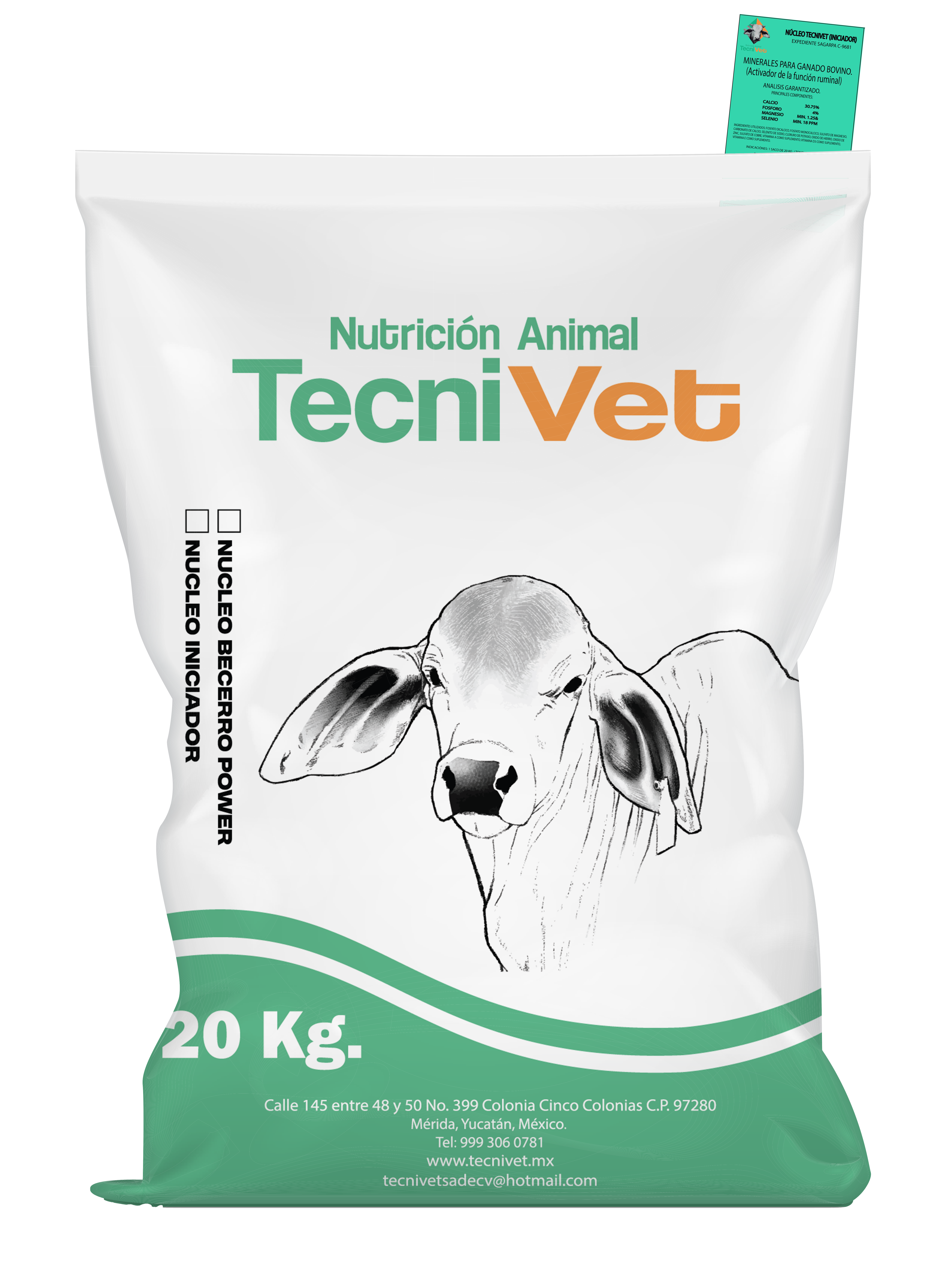 Núcleo Iniciador