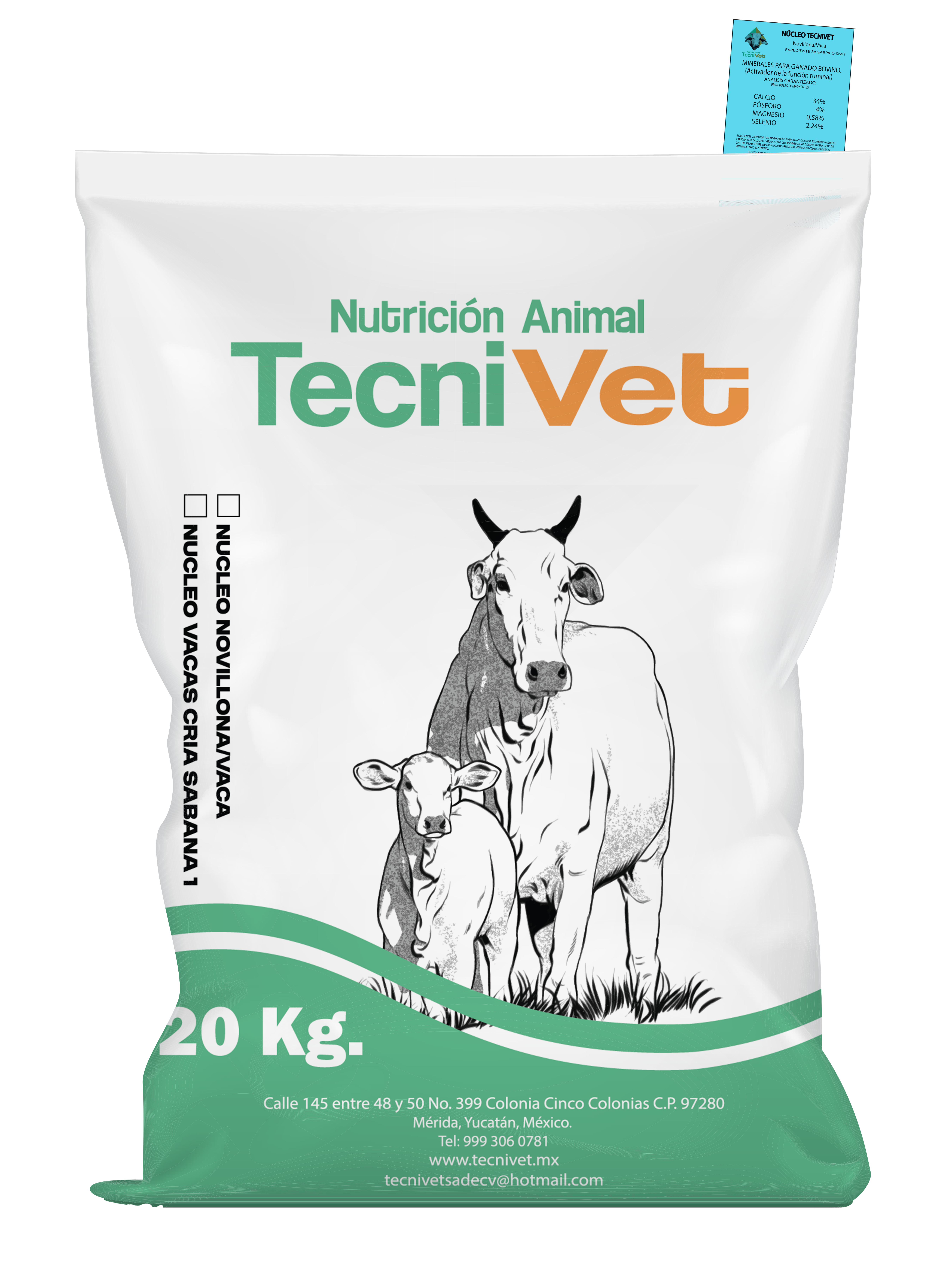 Núcleo Engorda Vaca Novillona